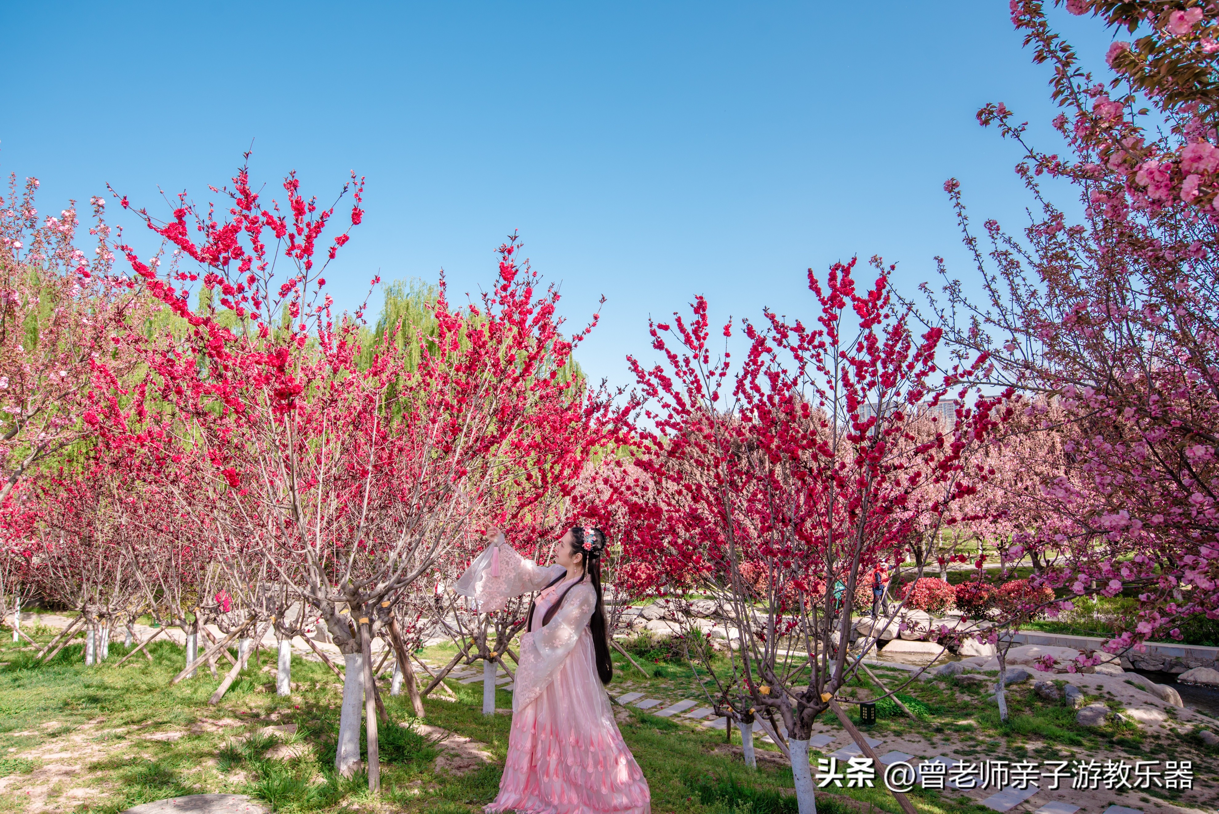 西安旅游攻略必去10个景点,西安旅游攻略必去景区