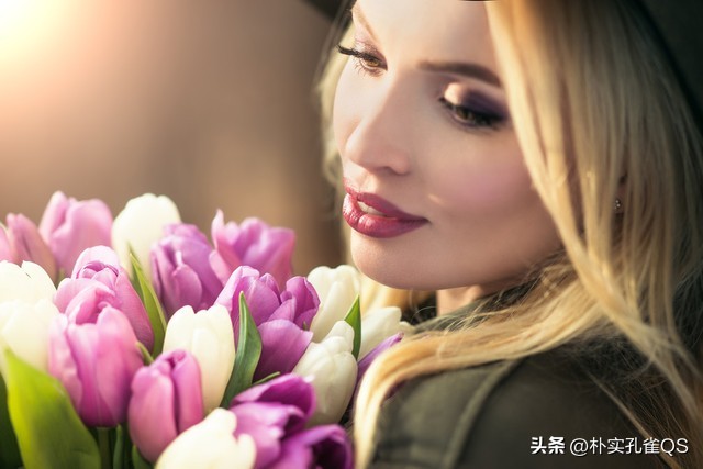 郁金香迫击炮,郁金香的养殖方法