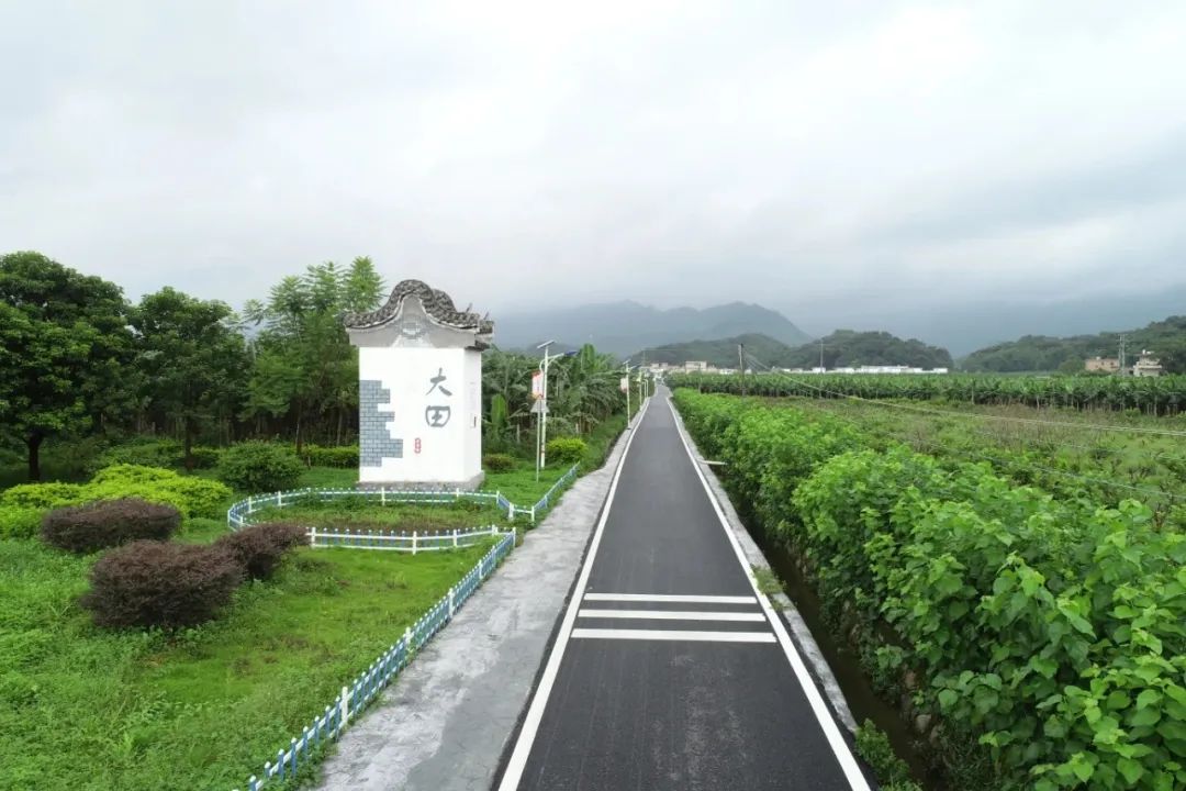 佛冈这十年：农业更强、农村更美、农民更富