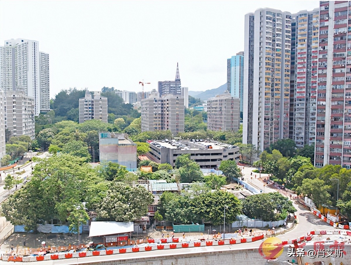 郑秀文恋爱百分百感觉,郑秀文首谈老公出轨对象