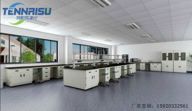 湖南实验台定制厂家,湖南实验台通风柜定做