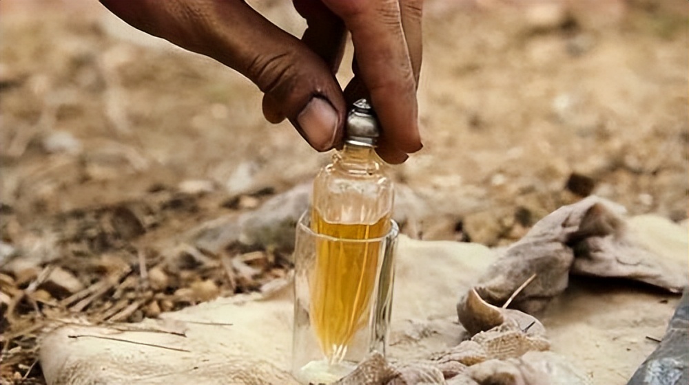 什么是尸酒,什么是尸蜡