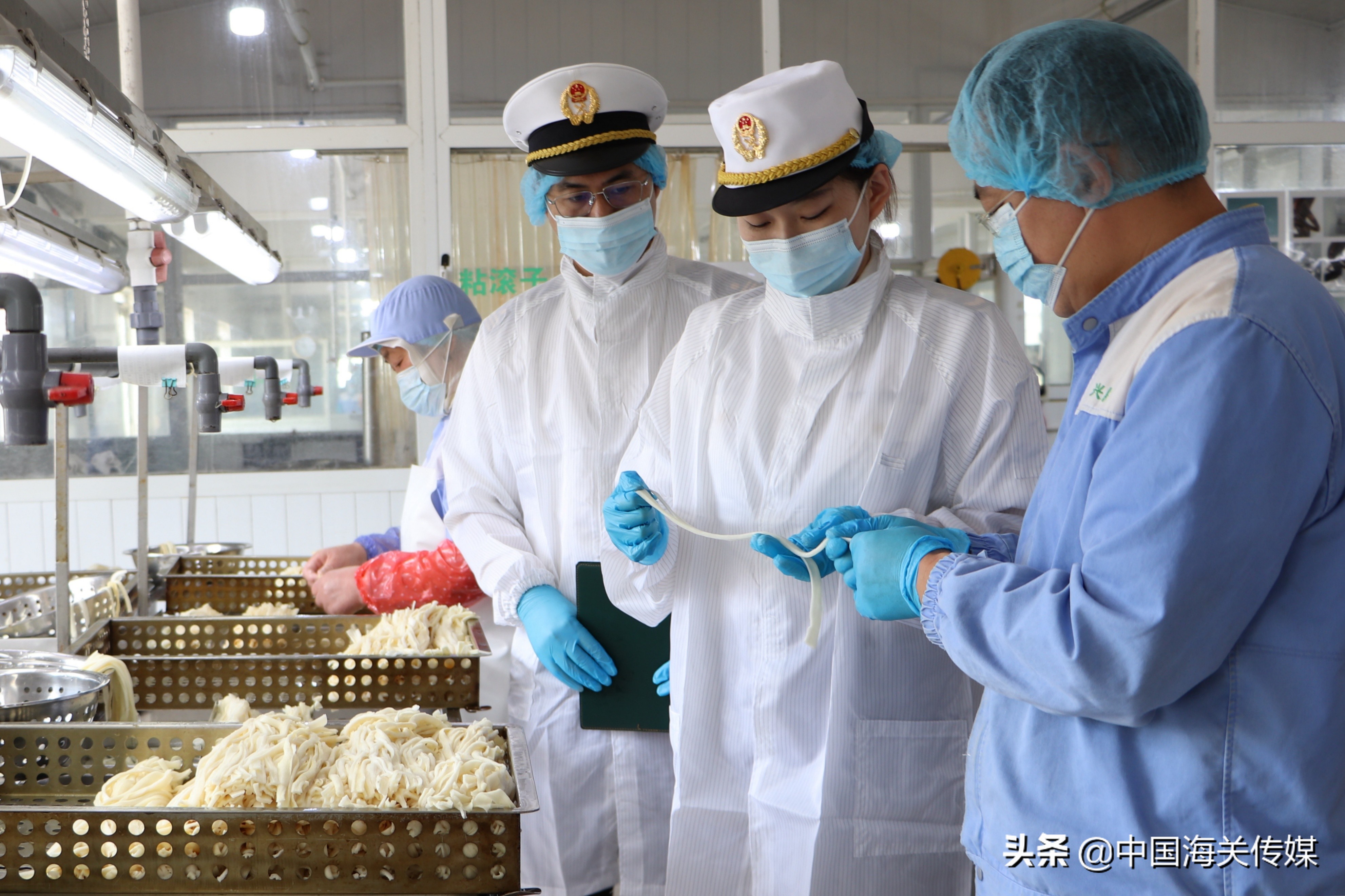 葫芦条产业,葫芦转型成功