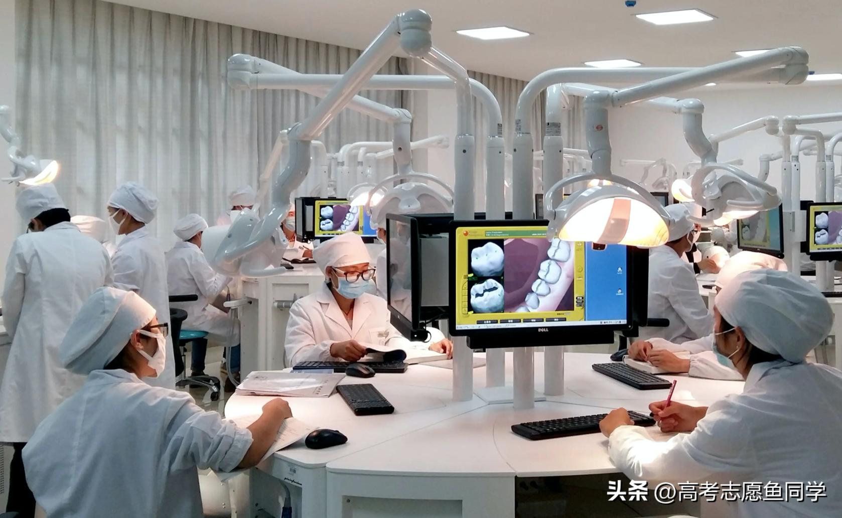 女生单招就业率最高的专业,高考专业选择与就业前景女生