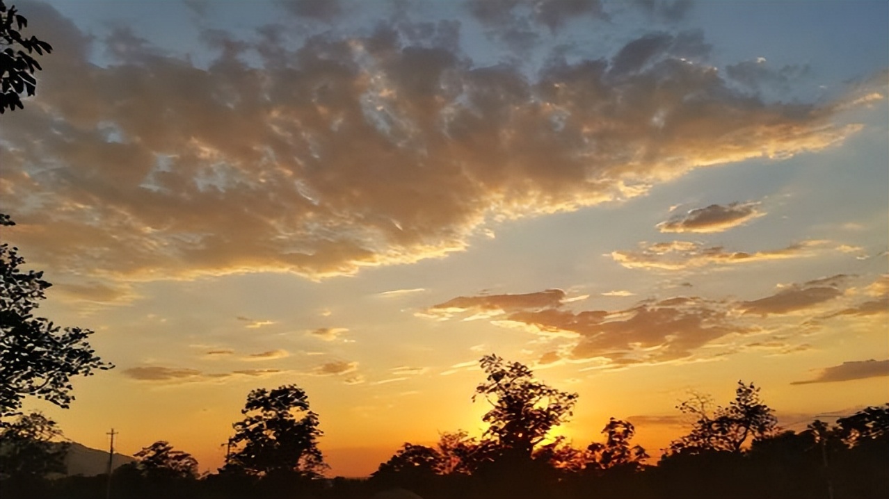 白居易最经典的七言律诗,白居易最简单的五言绝句