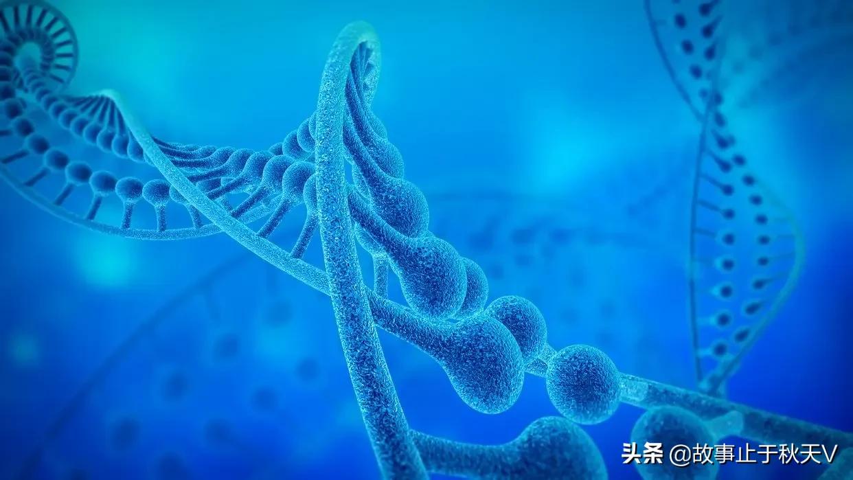 为什么讲“胎记”不是前世刻骨铭心的记忆？