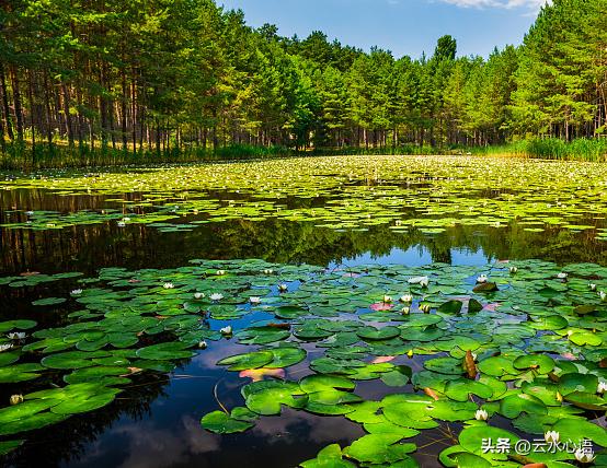 韩愈的早春美景诗句,韩愈的绝美诗句