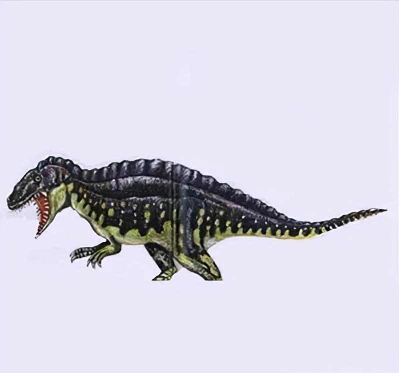 恐龙世界认识史前各种恐龙,食草恐龙和食肉恐龙科普视频