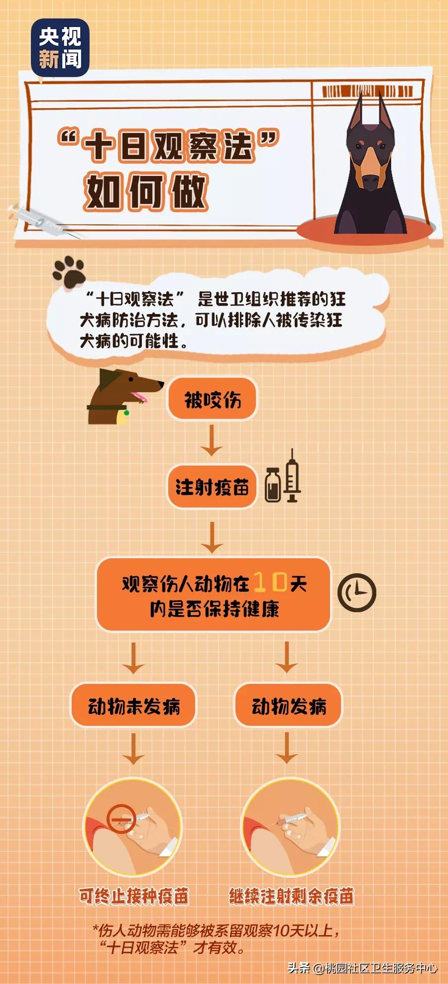 不小心被狗刮伤了怎么办,不小心被狗狗抓伤怎么办