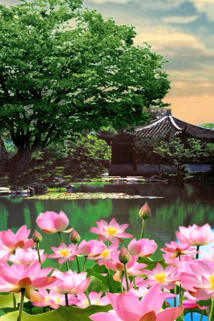 生如夏花蝶舞幽帘歌词,生如夏花繁花似锦下一句