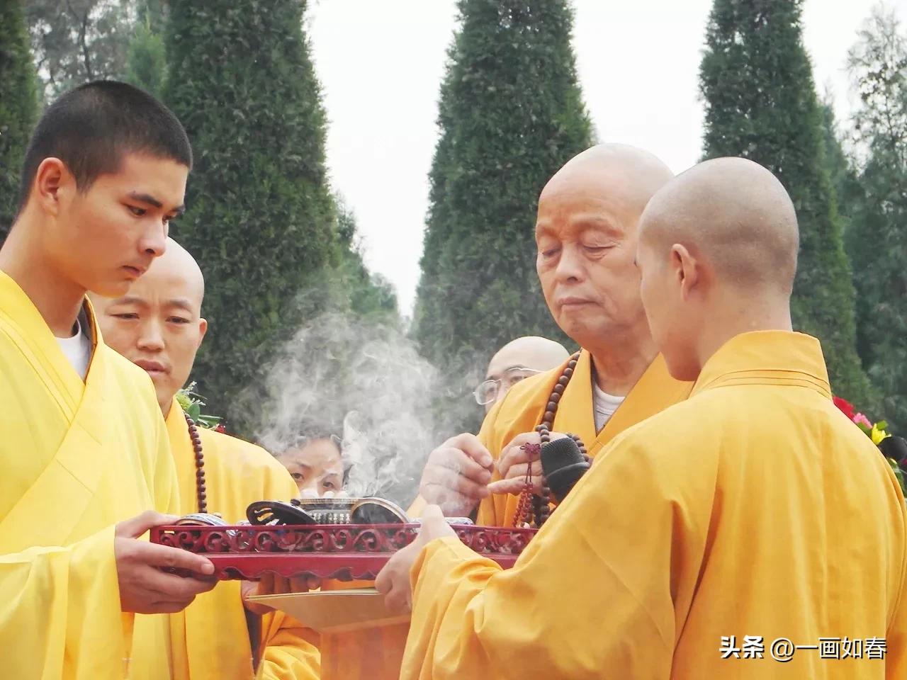 舒曼|无尽禅茶意,拈花一笑中