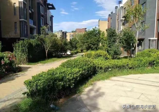 校园欺凌被杀,校园欺凌被反杀现场真实事件