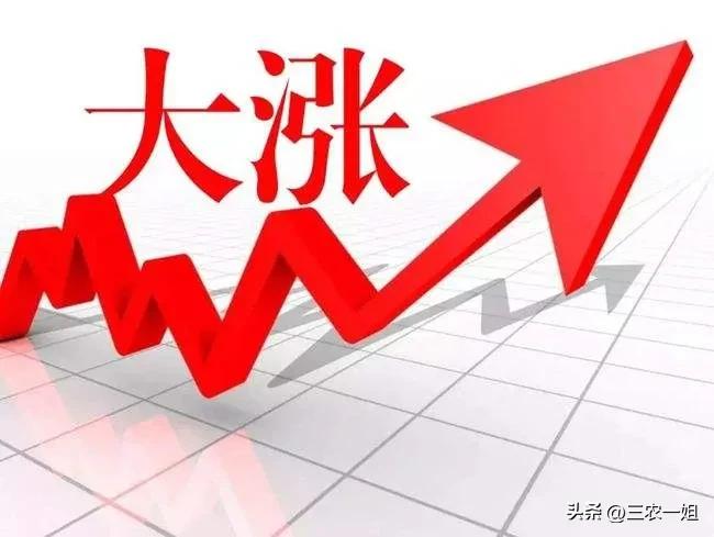 今日猪价8月24日猪价走势图,猪价最近十天还会涨价吗