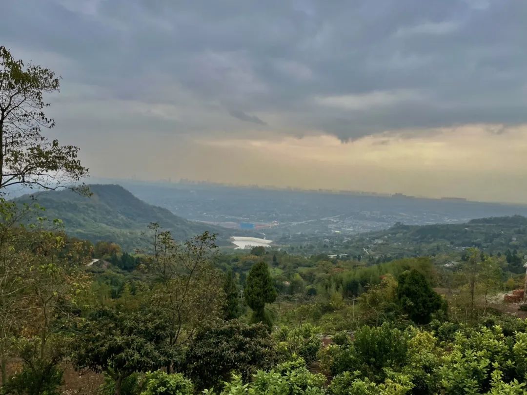 成都旅游豌豆尖,成都仰天窝近郊爬山推荐