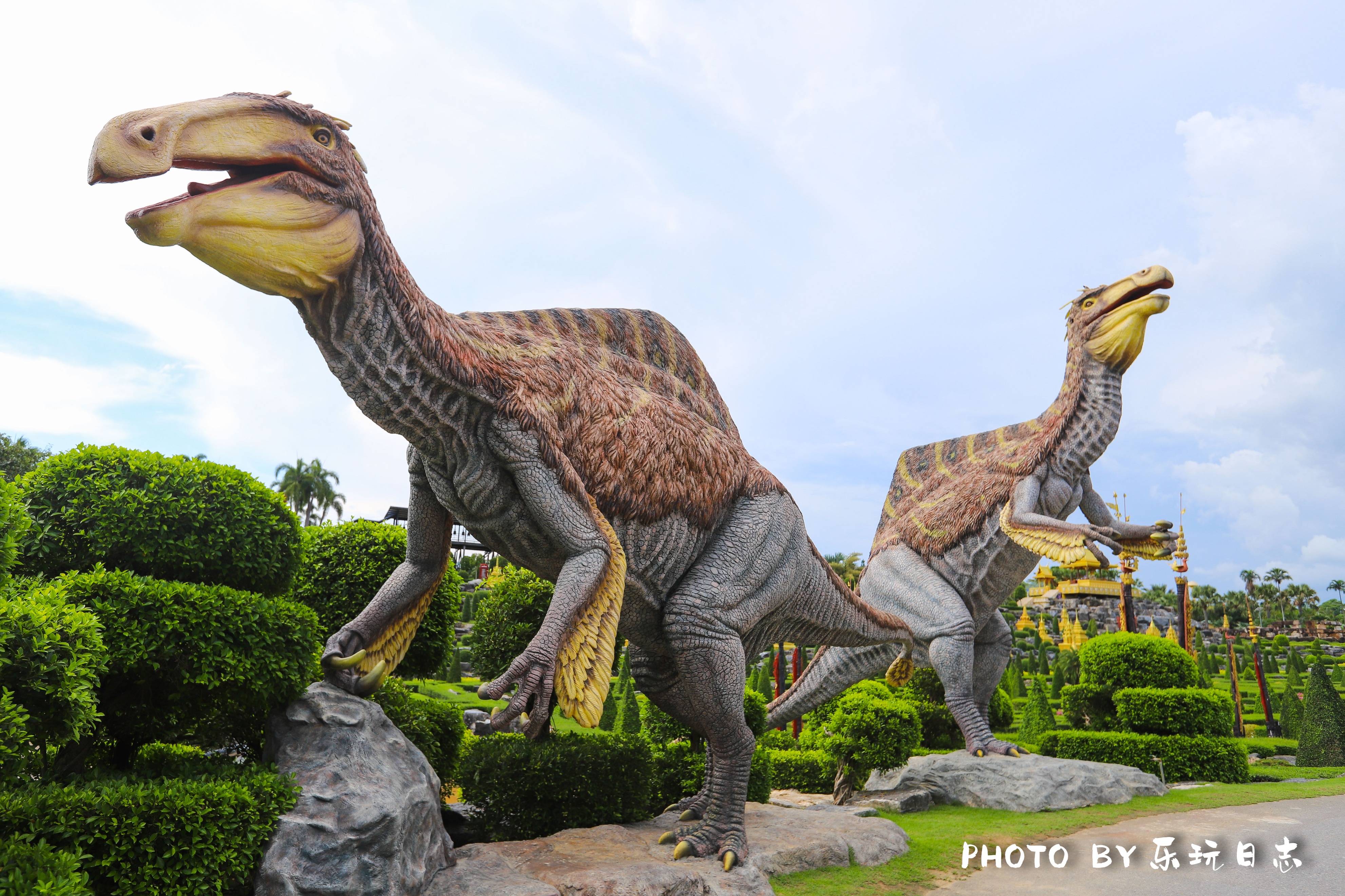 泰国热带公园,泰国东芭乐园占地面积