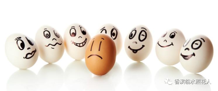 铅笔会跳舞的作文,铅笔会跳舞的作文400字