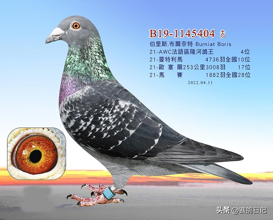 依天迪沃斯席丹号，伯里斯鸽系的起点