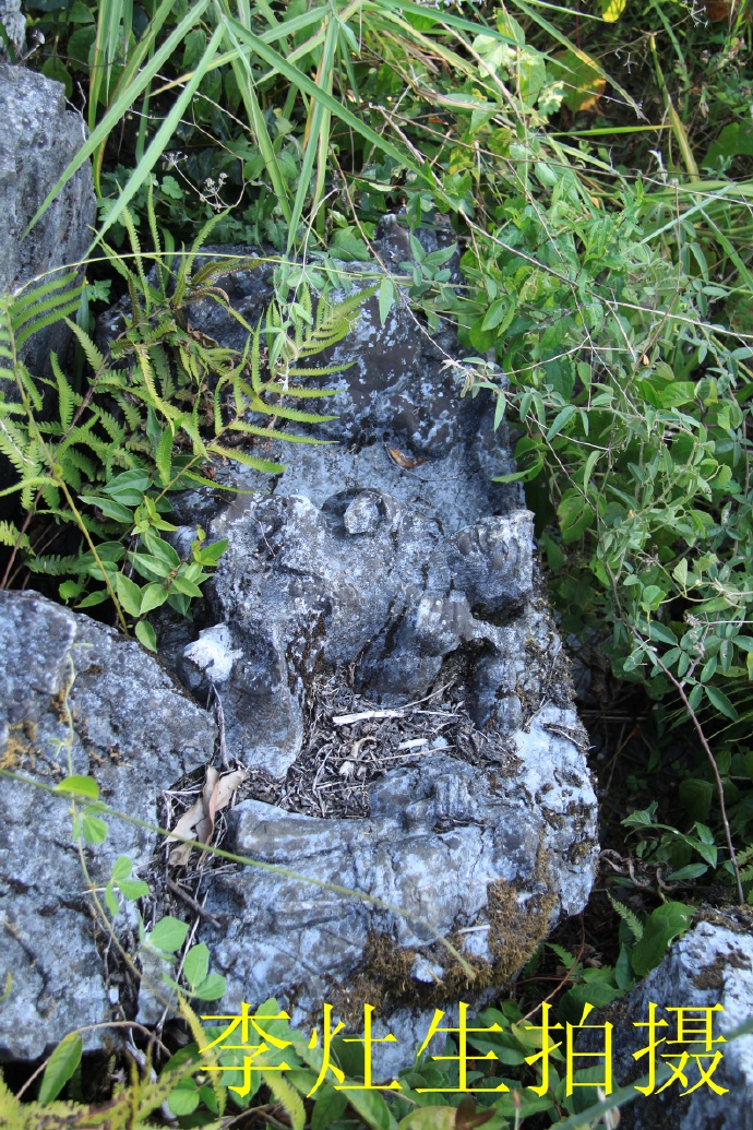 郴乐古道之水头江宜乐古道--广东省乐昌市庆云镇