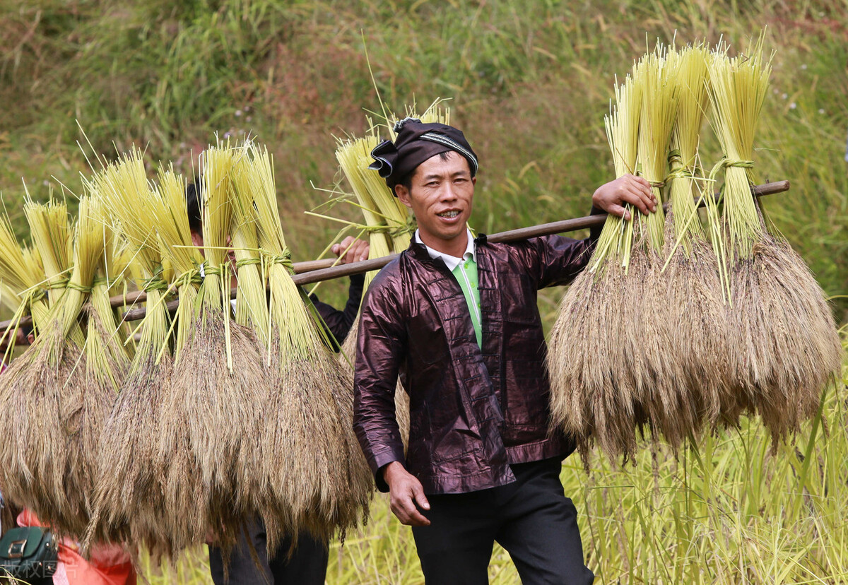 双惠螺螺蛳粉plus款柳州特产,广西名牌正宗柳州螺蛳粉特产小吃