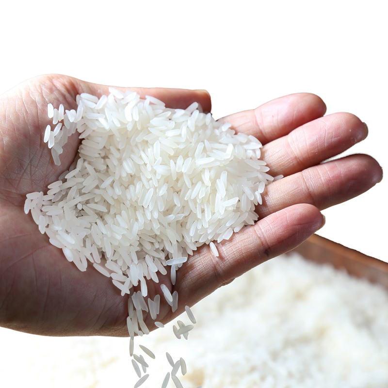 如何辨别新米还是陈米,怎样辨别小米是新米还是陈米