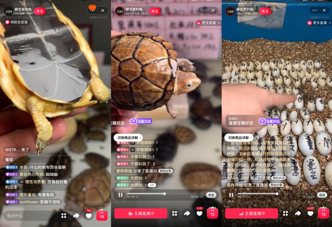 一千万人，在淘宝追一种很新的演唱会