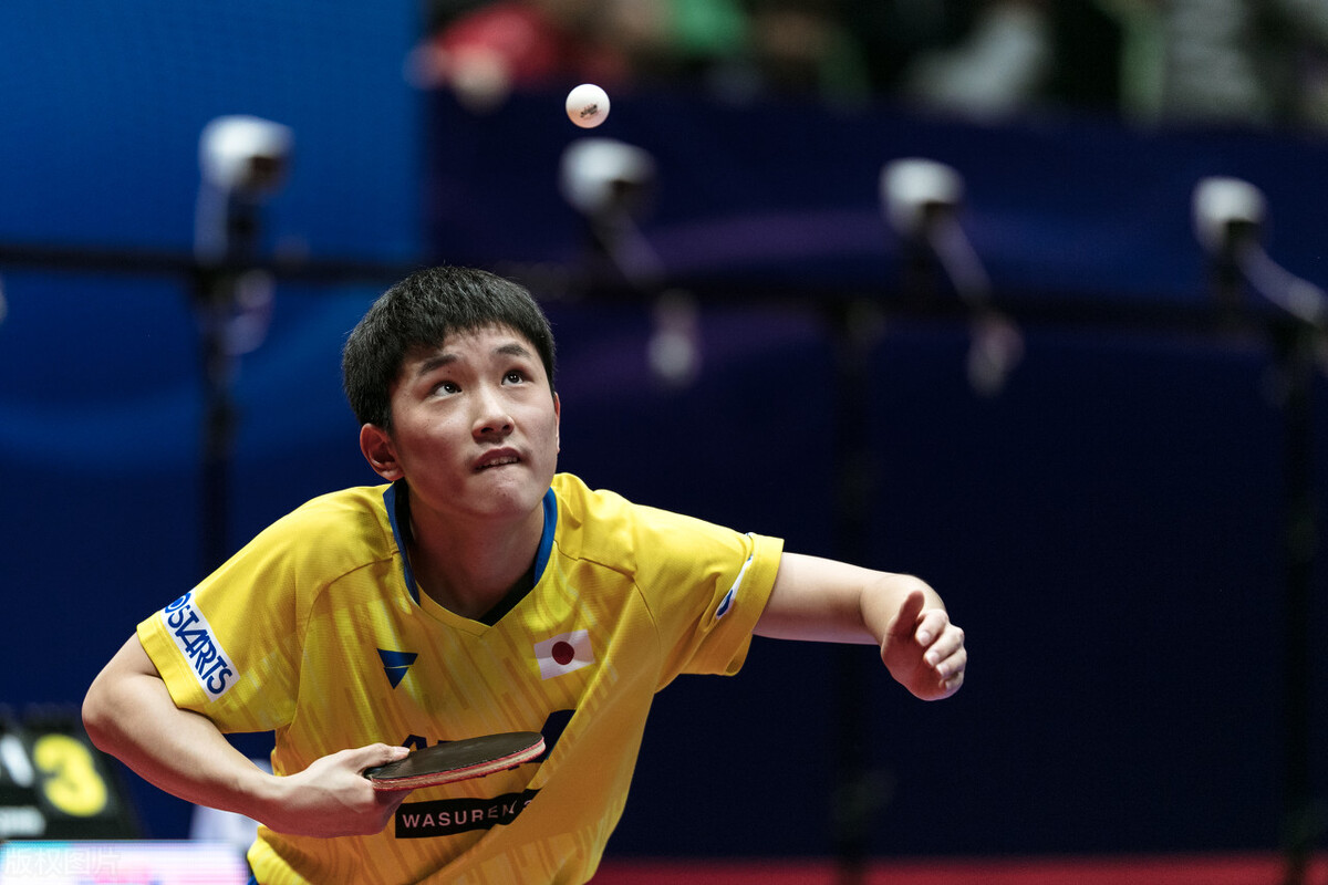 世乒赛日本男单全军覆没,日本男单全军覆没国乒晋级八强