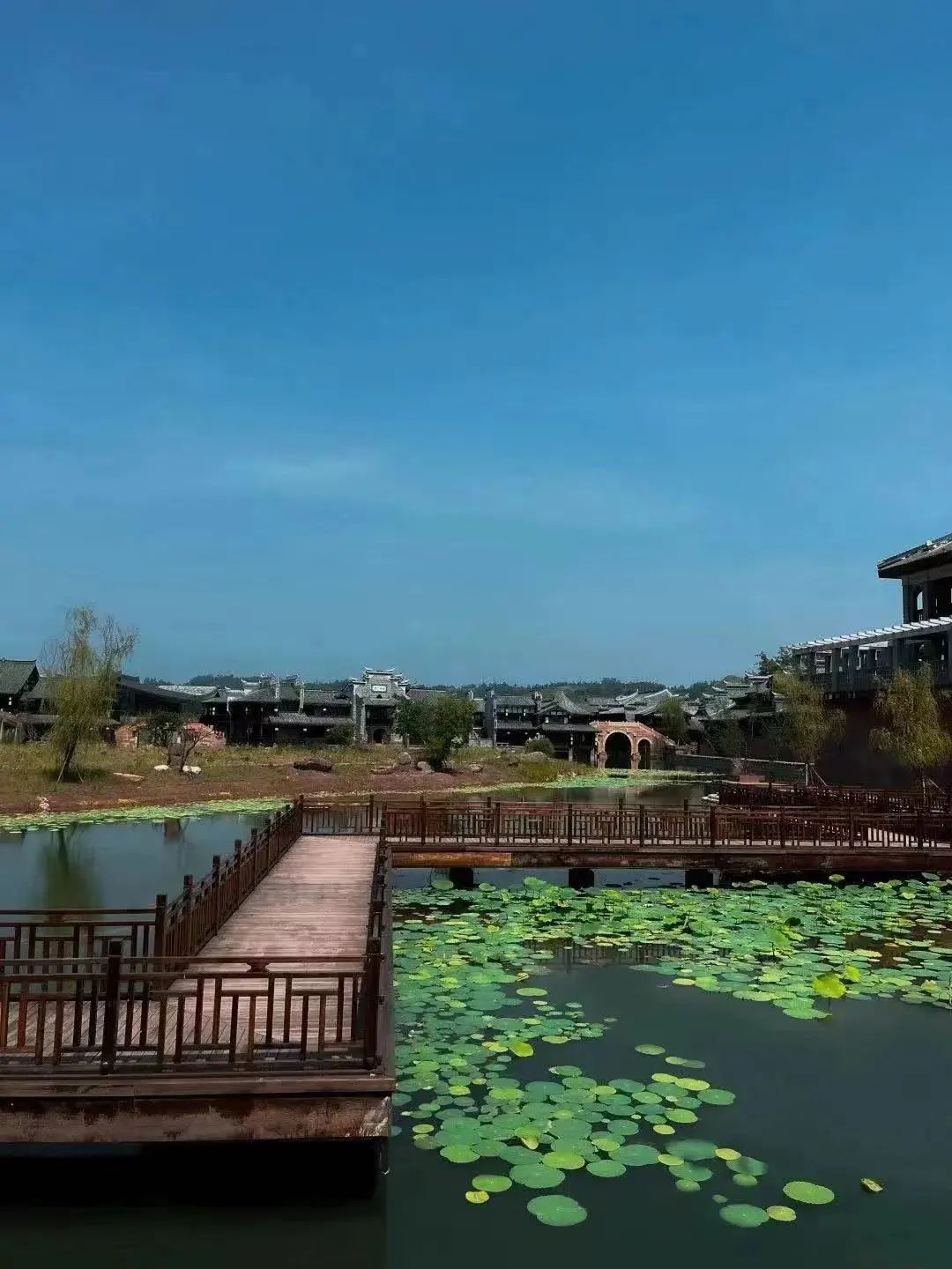 清明节逛李庄古镇,云逛自然博物馆