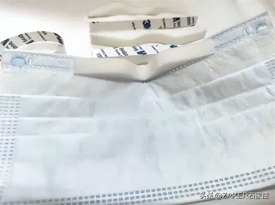 石家庄大熊猫贤贤还活着吗,大熊猫贤贤跟谁一起去石家庄