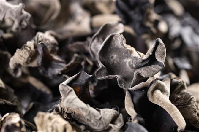 干木耳保质期内发霉能吃吗,干木耳过了保质期能吃么