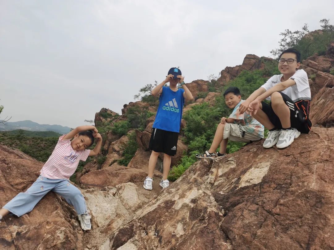 听听审计人的“盛夏果实”