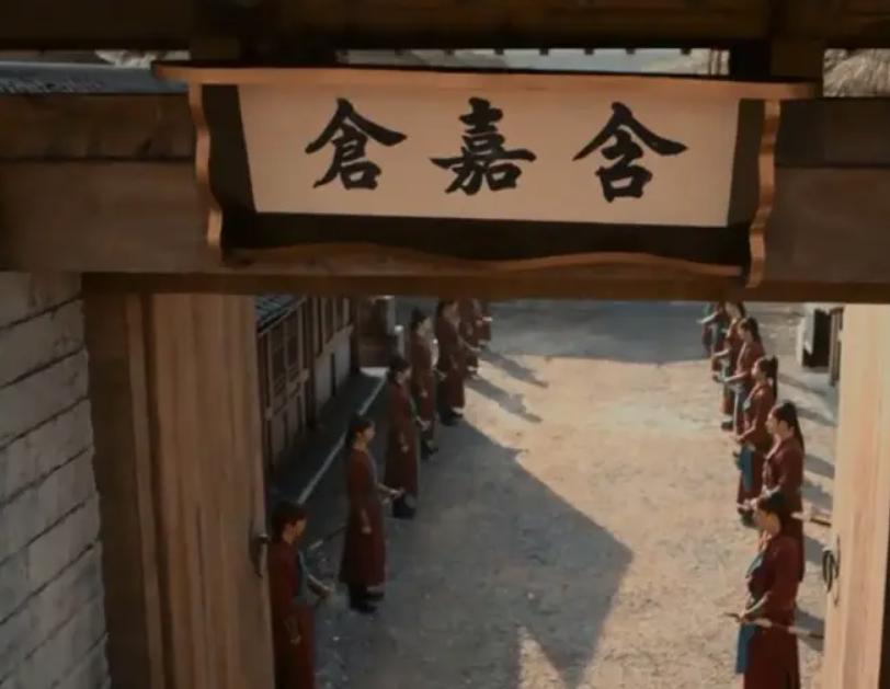 71年洛阳发掘含嘉仓，意外发现储存千年的谷粒，竟然还能发芽