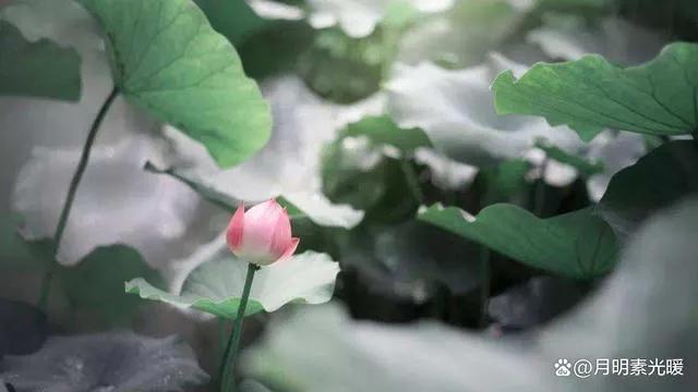 用信用卡维持生活,透支自己的信用卡