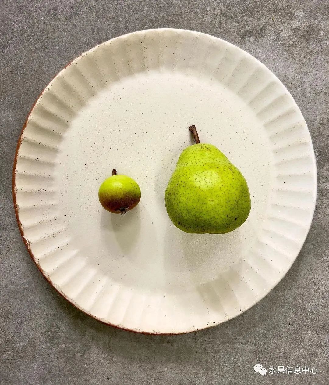 盘点那些迷你的东西,盘点不同样子的水果