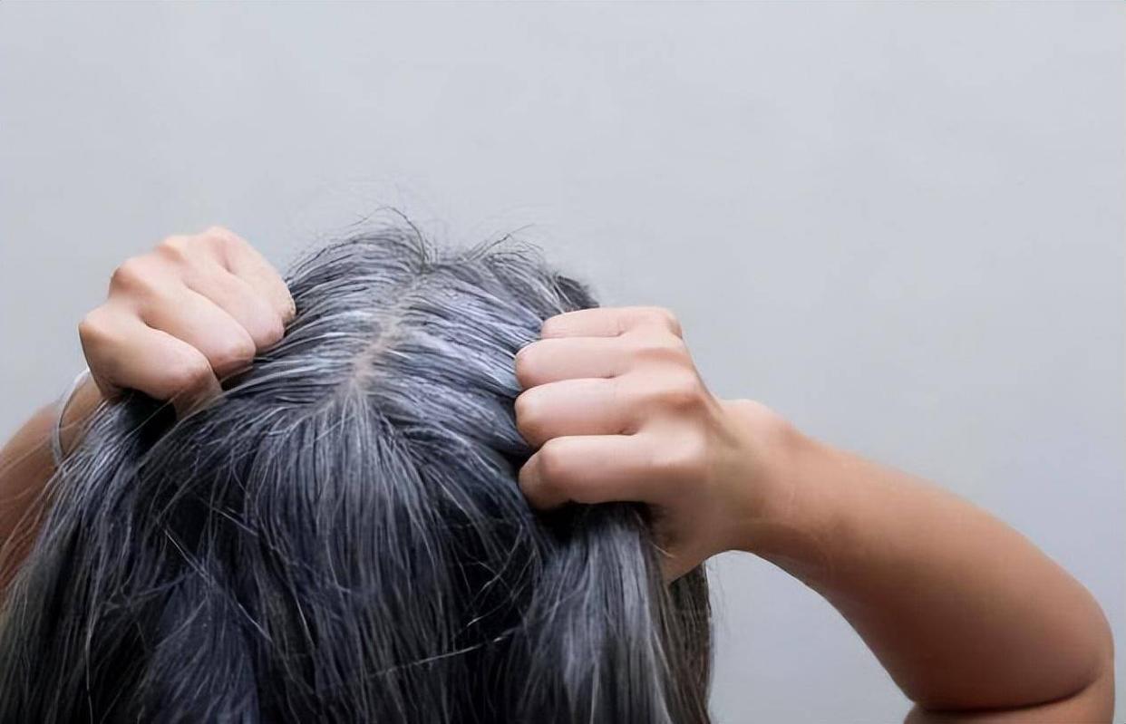 两鬓出现白发是身体哪个部位,两鬓后脑勺都长出白发是什么原因