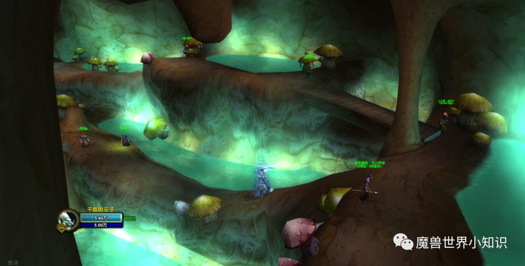 魔兽世界艾泽拉斯哈卡,魔兽世界艾泽拉斯之歌