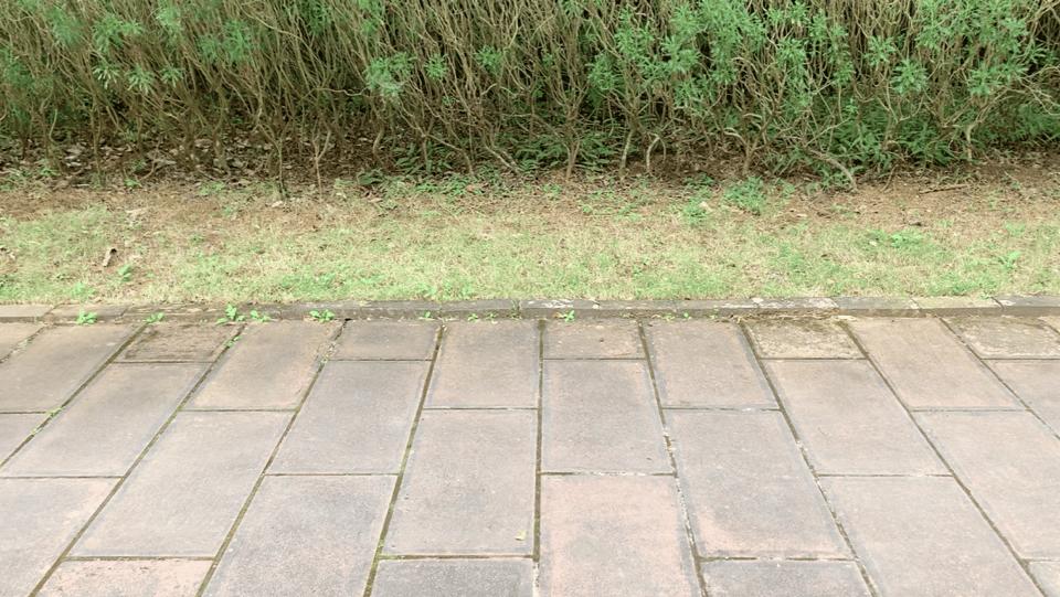 陪你走过人生四季，地平线8号ONETOUCH前开门行李箱测评