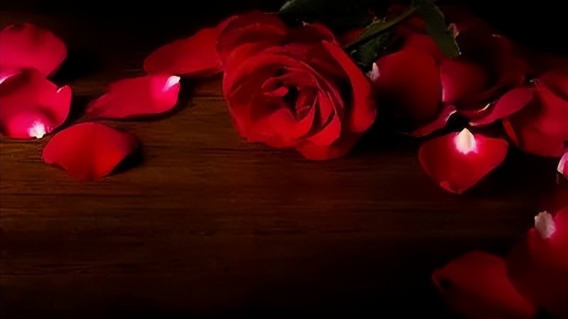 早安语录暖心短句文案图片,2015早安正能量的句子图片