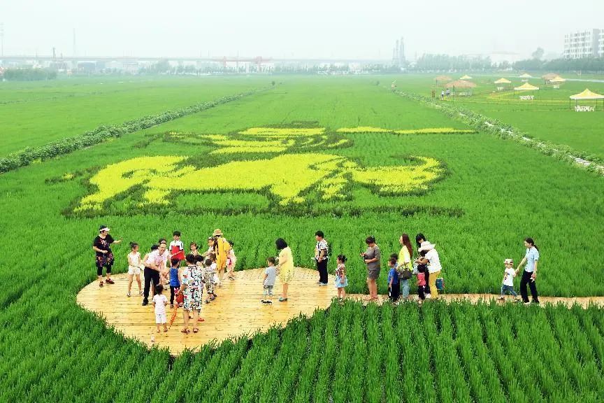 盘锦振兴乡村,产业振兴抱团发展辽宁盘锦
