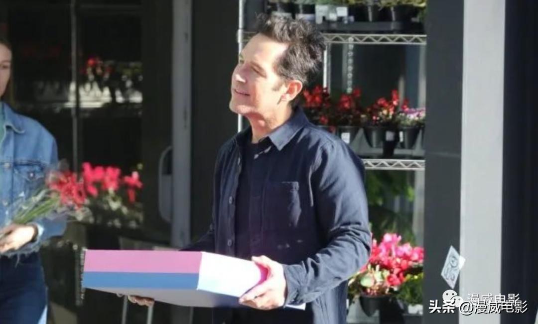 为什么蚁人3是第5阶段的开始,蚁人3蚁人最后回去了吗