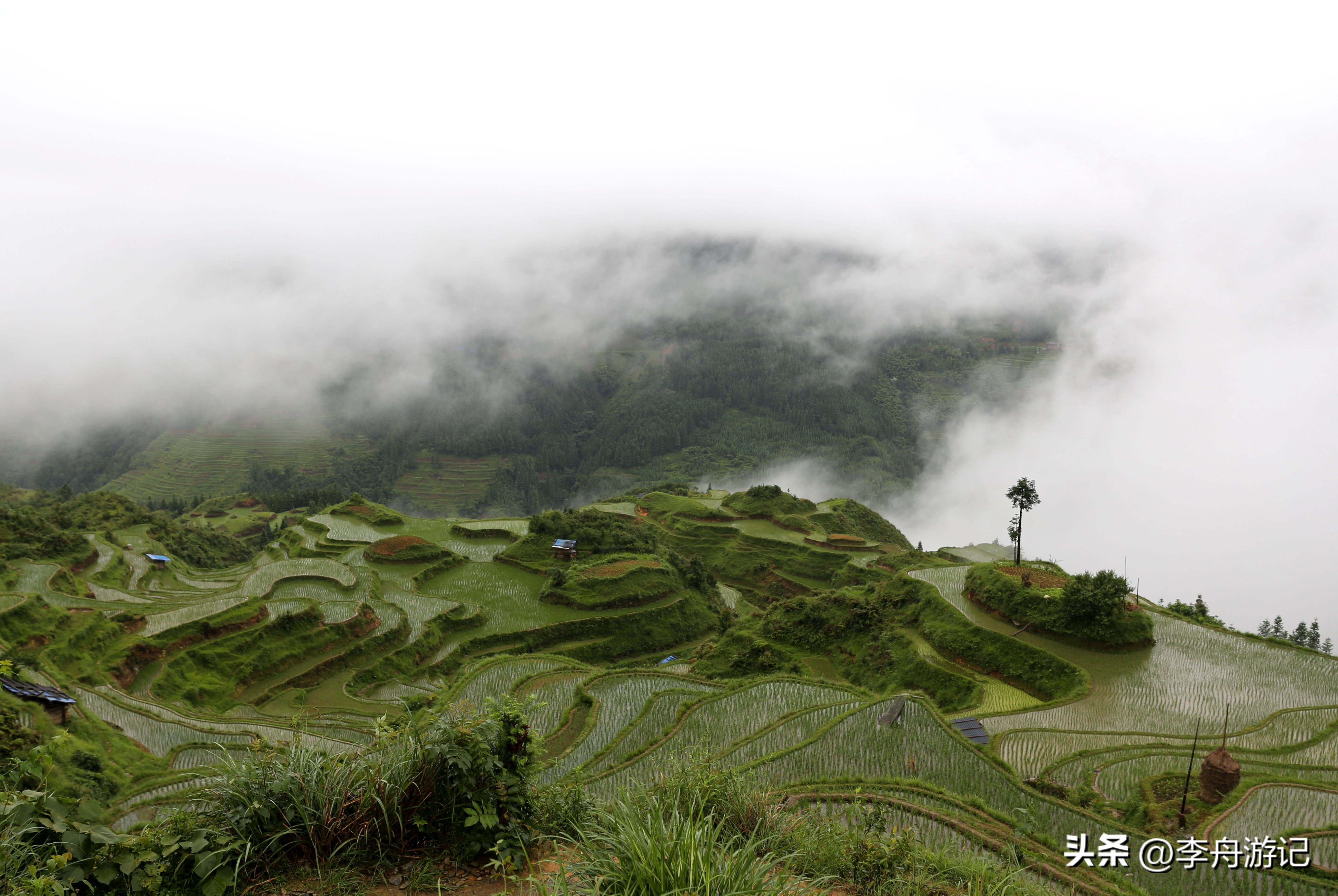 贵州租车自驾游攻略7日游,贵州租车六日自驾游攻略