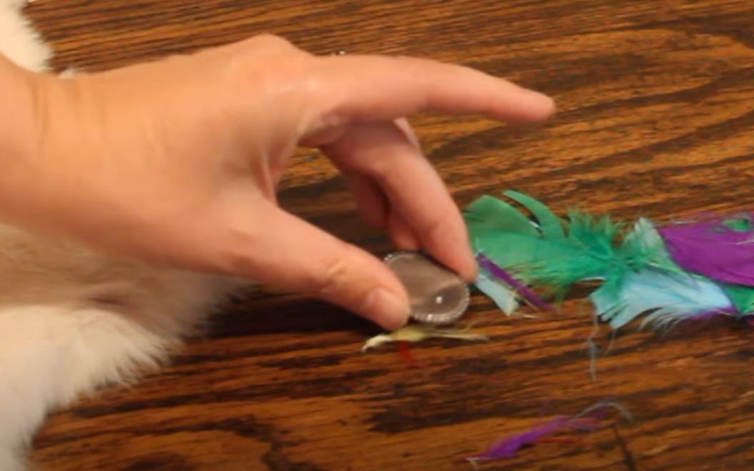 电的由来儿童讲解,电的由来及危害