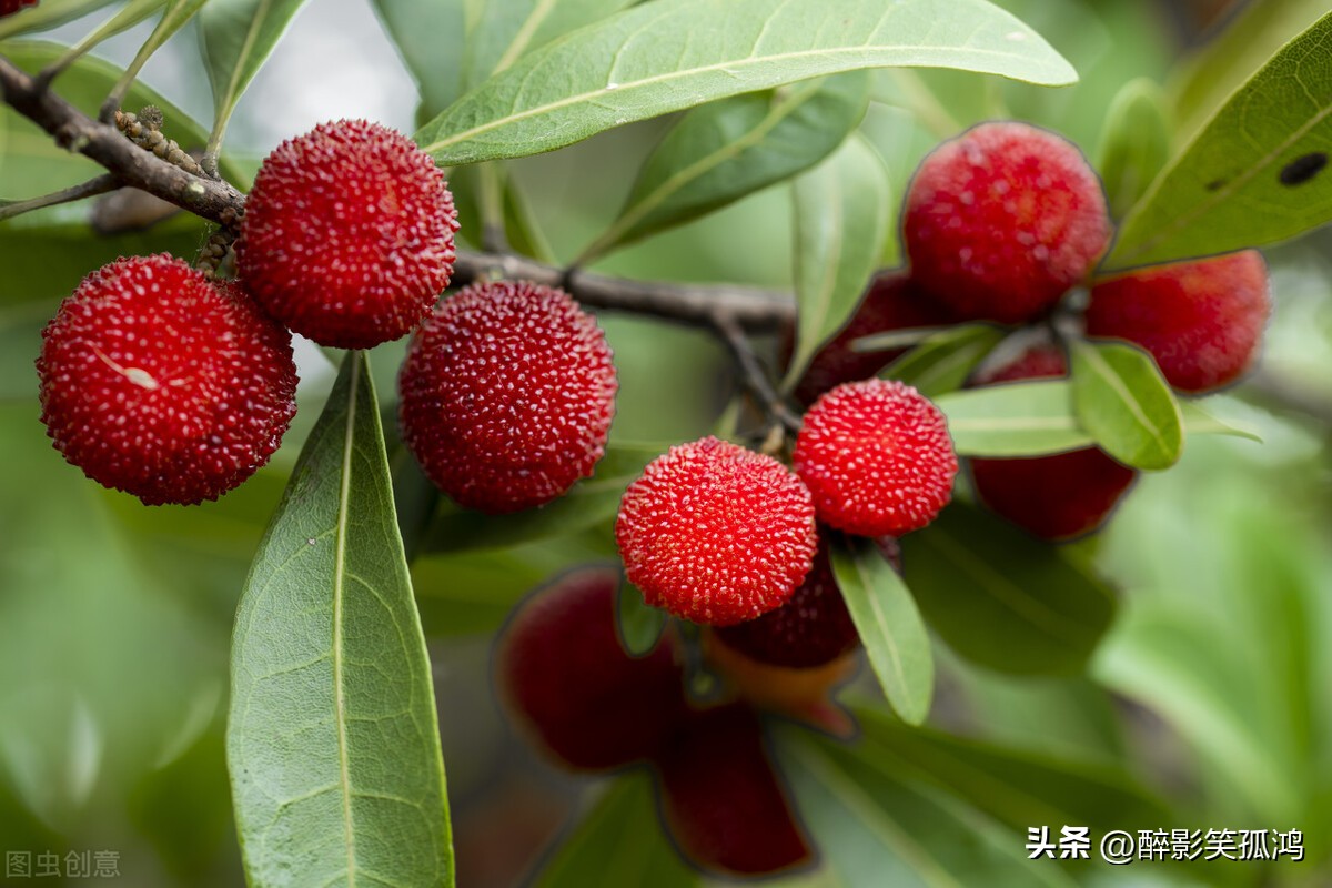 我们眼中的缤纷世界300多字三年级,我眼中的缤纷世界三年级作文300字