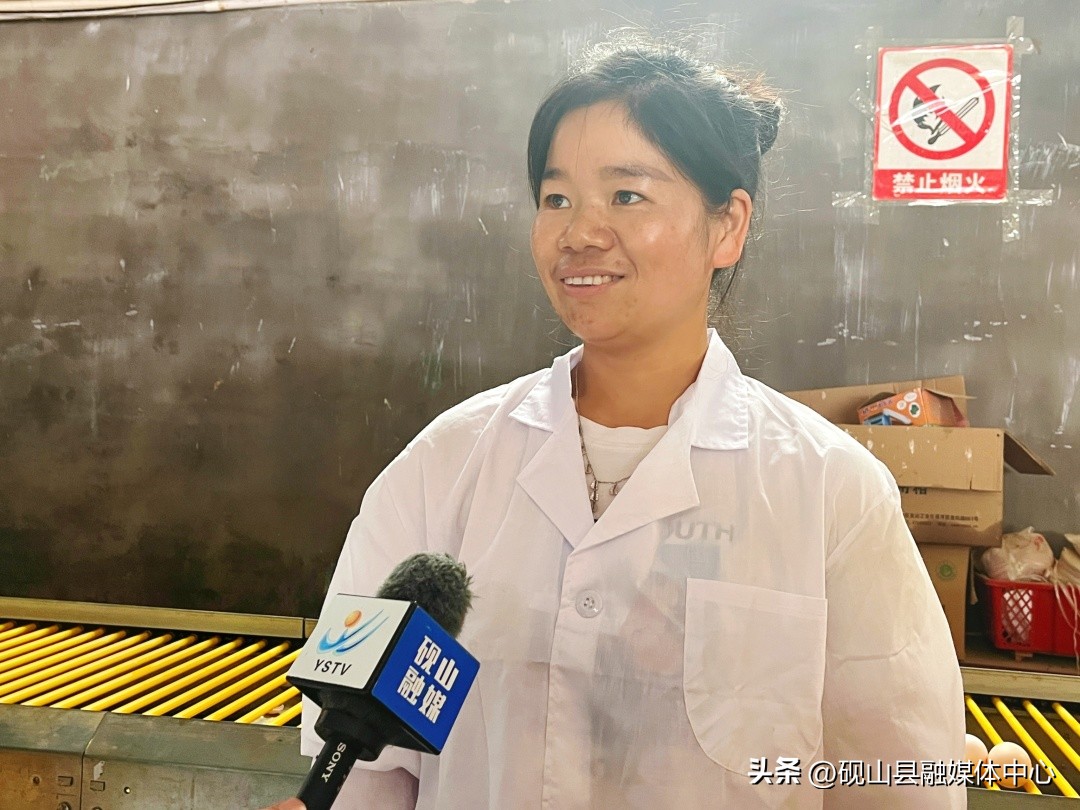 砚山鲜鸡蛋,砚山贫困户养殖致富成果