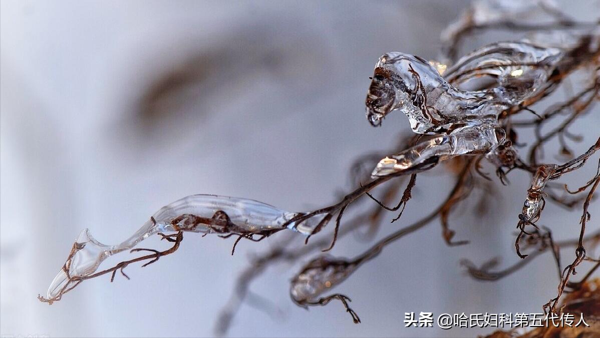 老中医看不孕都会问什么,不孕不育被误解的8个真相