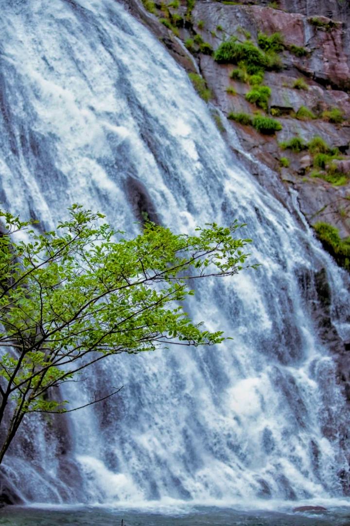 “阳康”们看过来！我不允许还有人不知道这个康养胜地！