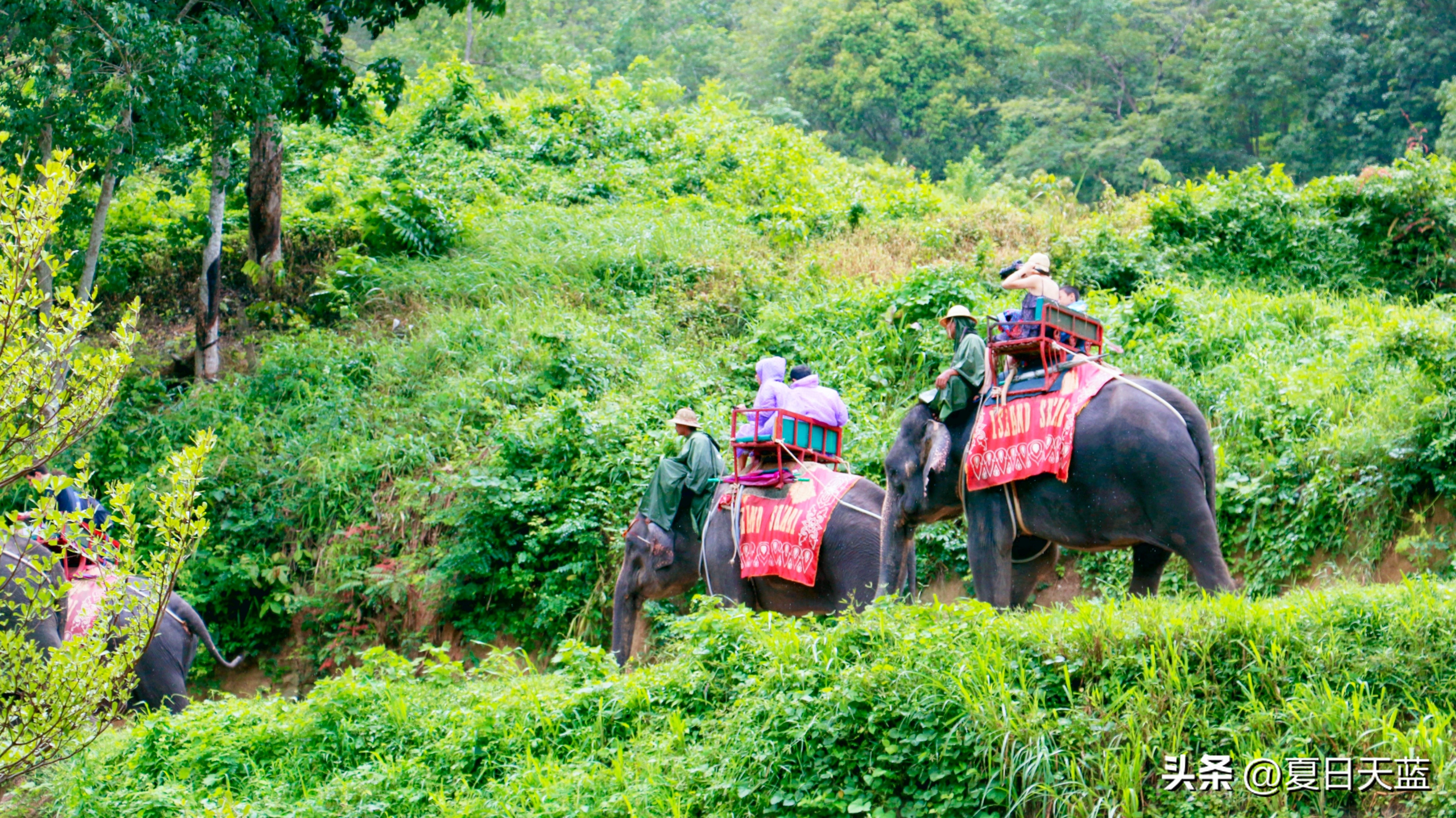 行走东南亚泰国,豪华不一样的东南亚之旅了解一下