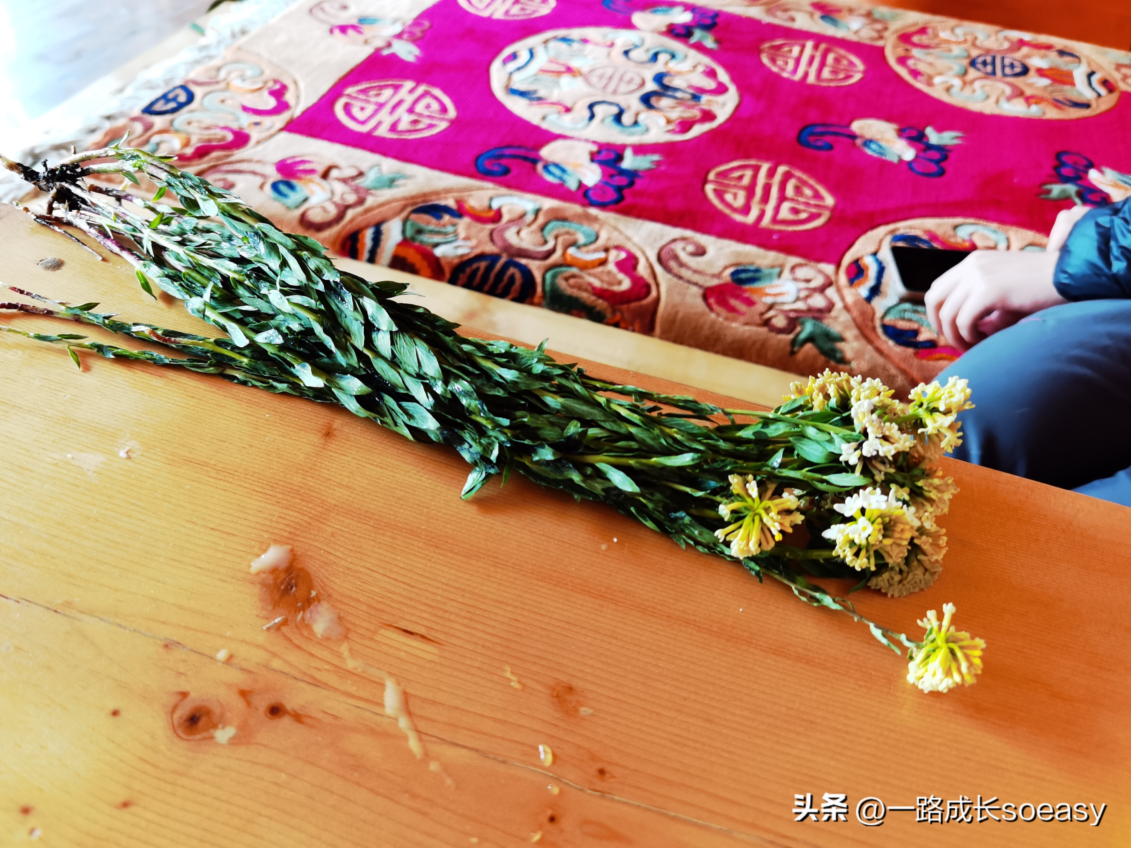 川西阿坝甘孜自驾游最佳线路图,甘孜阿坝三日游路线推荐