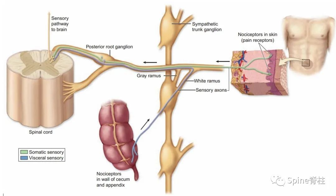 腰椎间盘突出症的治疗方法,腰椎间盘突出症状主要有哪些