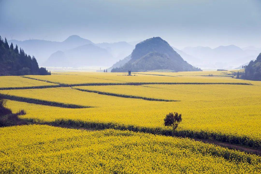 三月机票最便宜性价比最高的旅游,机票最便宜的旅游地7月
