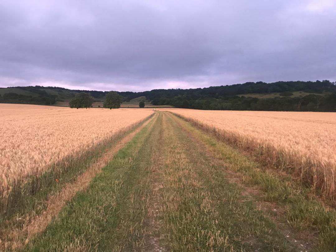 抑郁症每天15公里徒步,徒步治愈了我的抑郁症